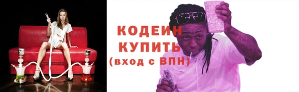 индика Баксан