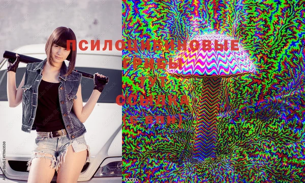 гидропоника Аркадак